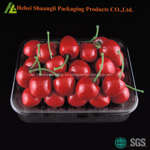Bandeja de embalaje de fruta de plástico rectangular